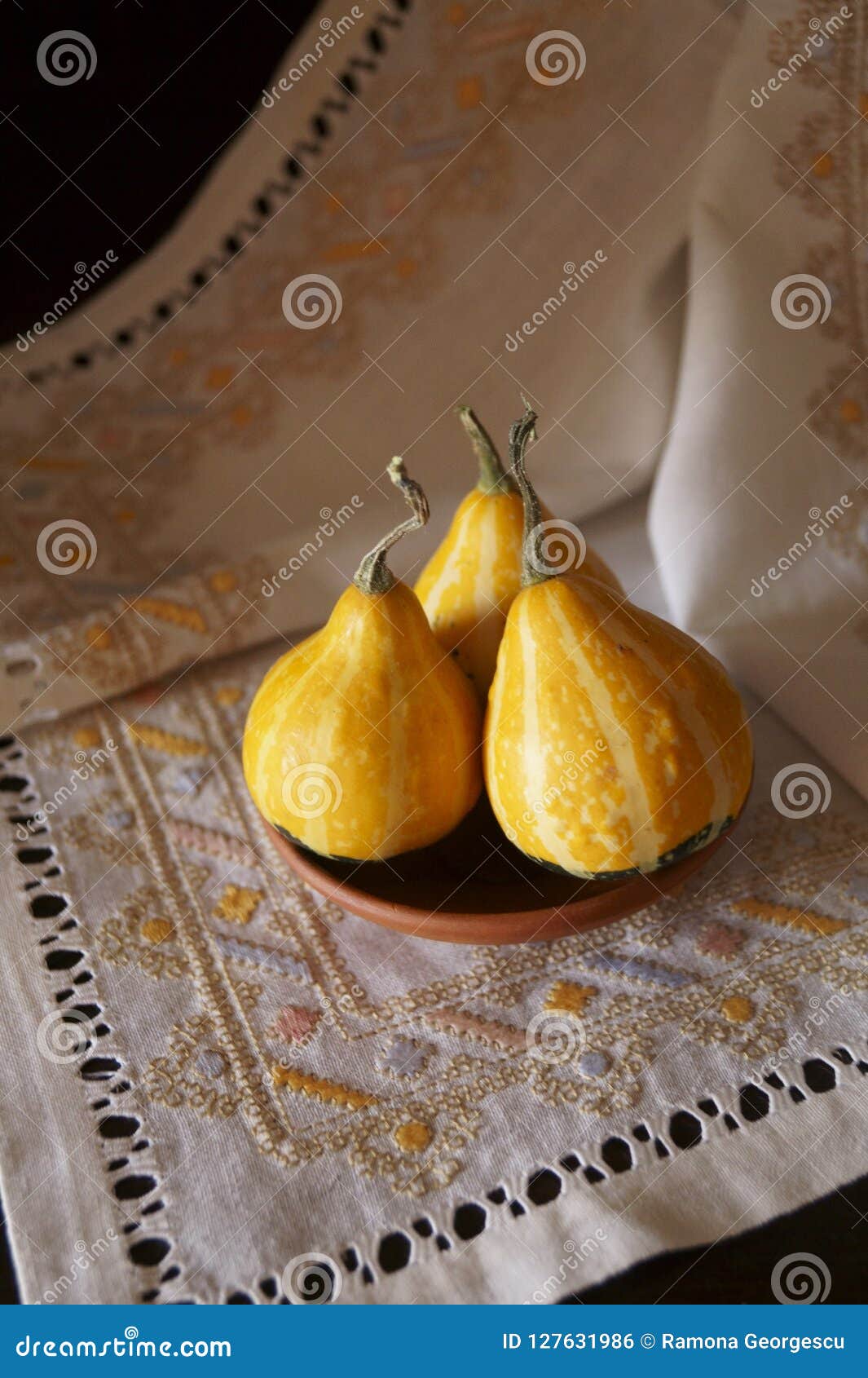 Gourd Pumpkins on Rustic Background Stock Photo Image of autumn