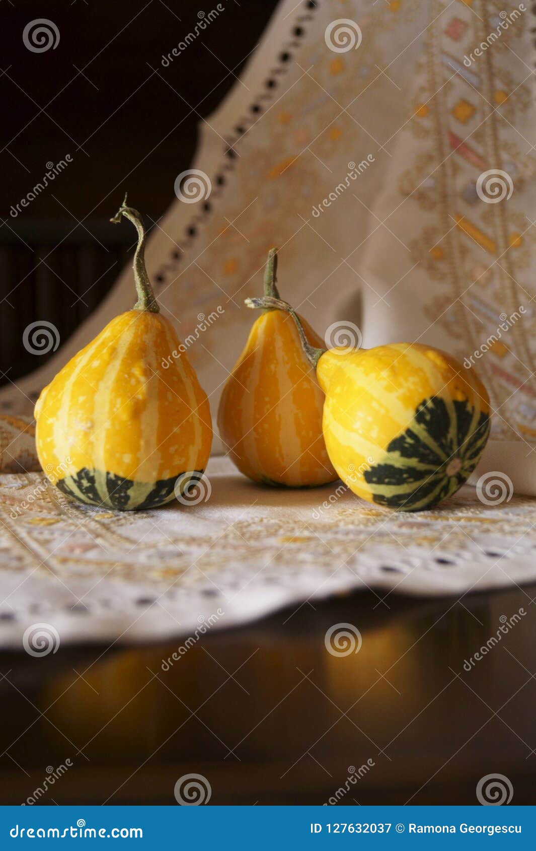 Gourd Pumpkins on Rustic Background Stock Image Image of fall