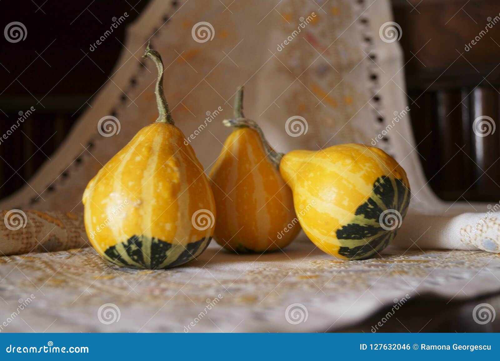Gourd Pumpkins on Rustic Background Stock Photo Image of hobby