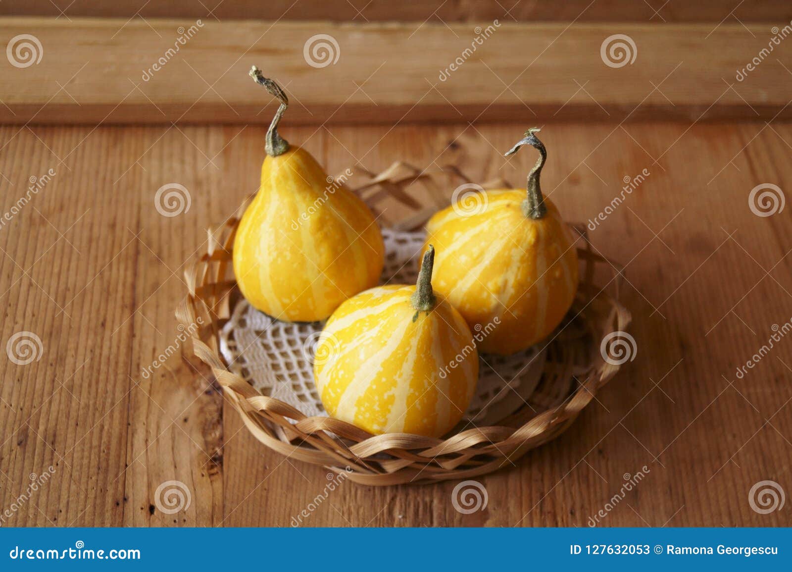 Gourd Pumpkins on Rustic Background Stock Image Image of pumpkin