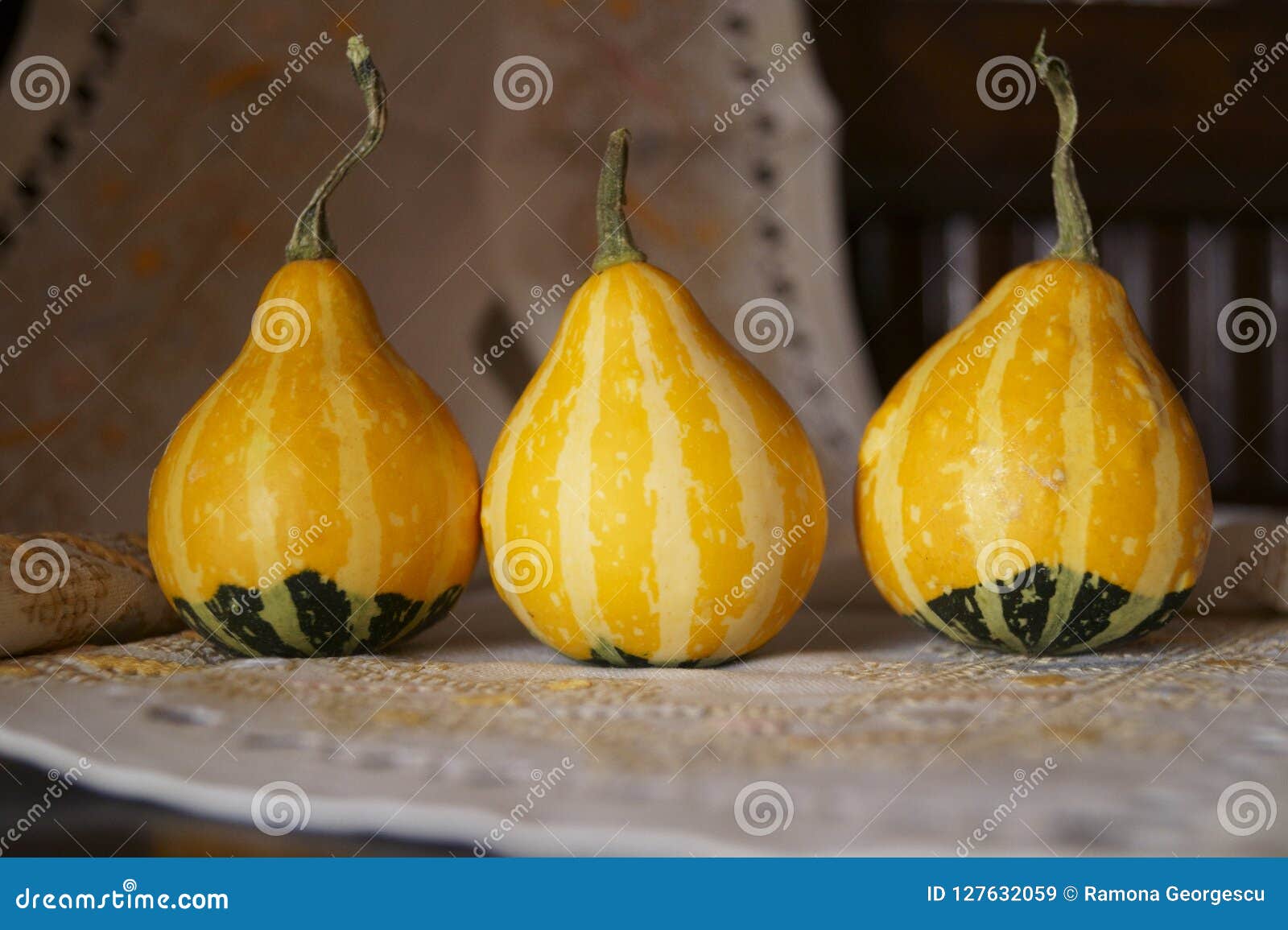 Gourd Pumpkins on Rustic Background Stock Image Image of gourd