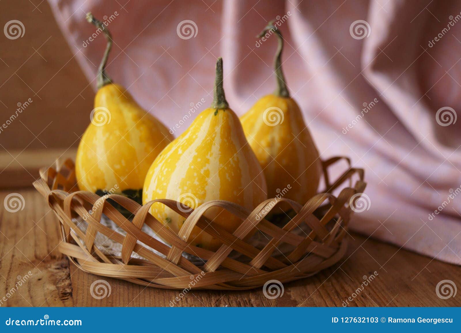 Gourd Pumpkins on Rustic Background Stock Image Image of colorful