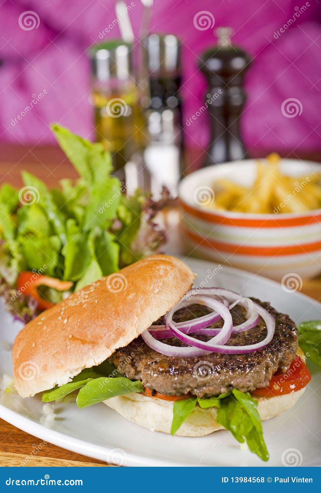 Gourmet Burger with Salad and Fries Stock Photo Image of food, dish 13984568
