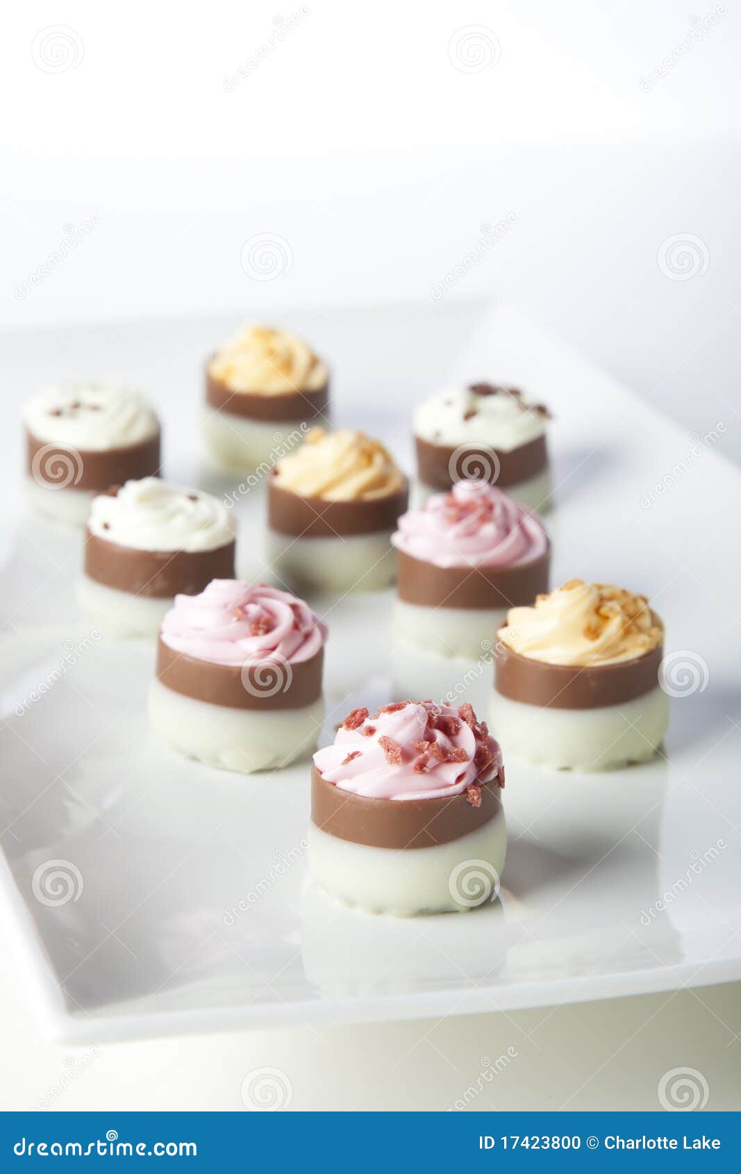 Gourmet Chocolate with Cream Candies. Stock Photo - Image of decorative
