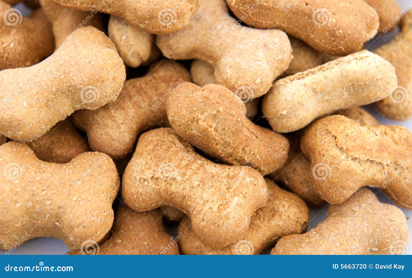 Gourmet Dog Biscuits stock photo. Image of backgrounds 5663720