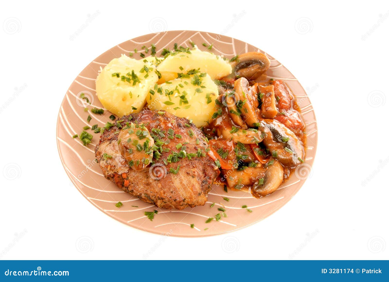 Gourmet meal stock photo. Image of spicy, pork, papillon 3281174