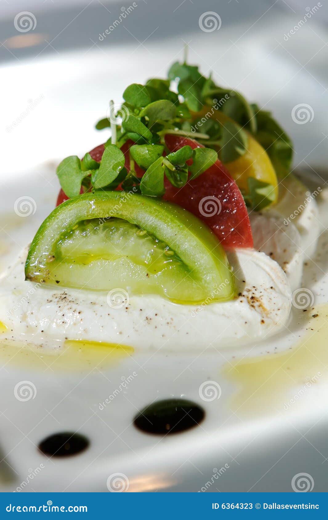 Gourmet Tomato and Cheese Appetizer Stock Image Image of dinner
