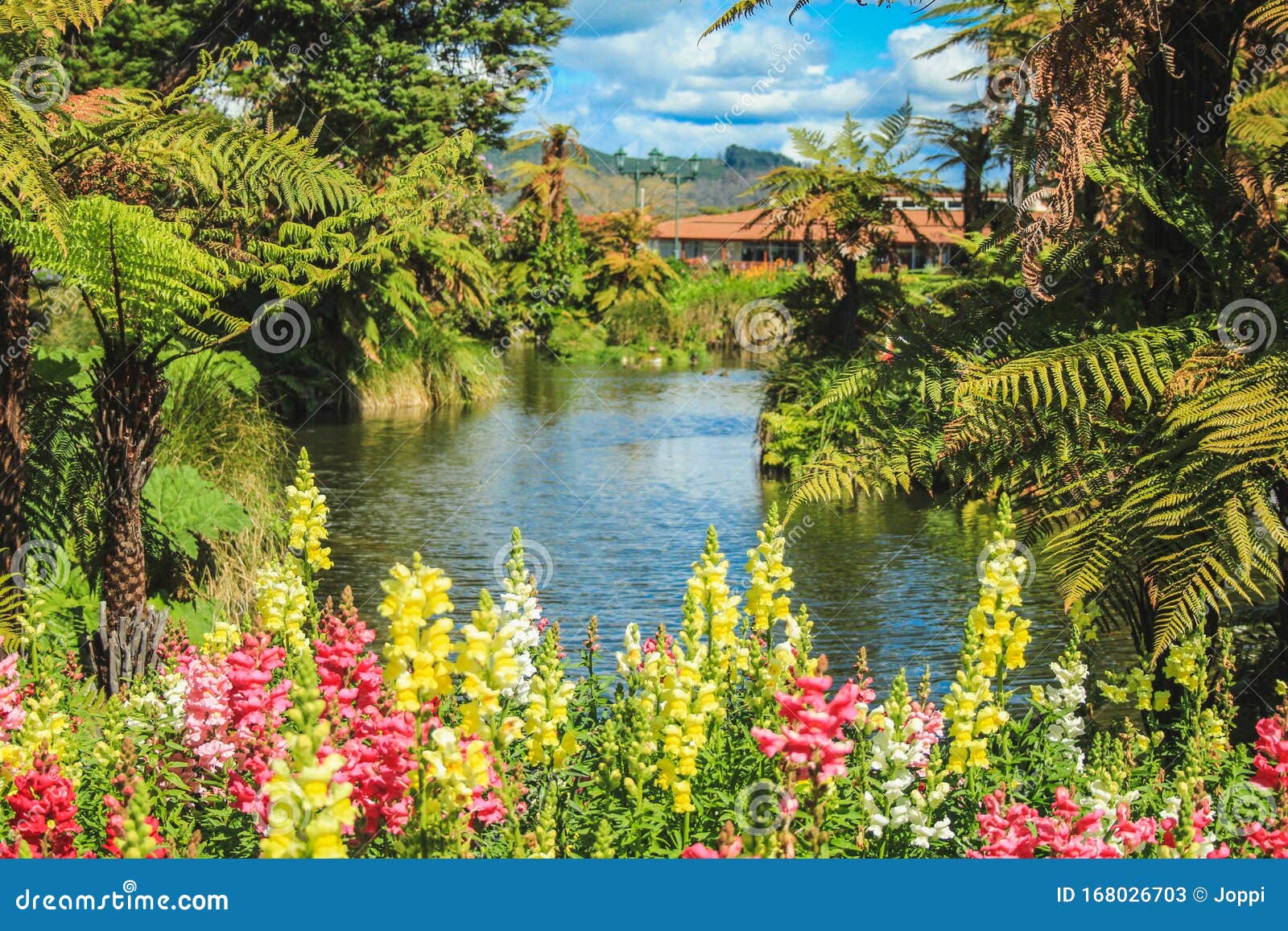 Government Garden In Rotorua, North Island, New Zealand Stock Image ...
