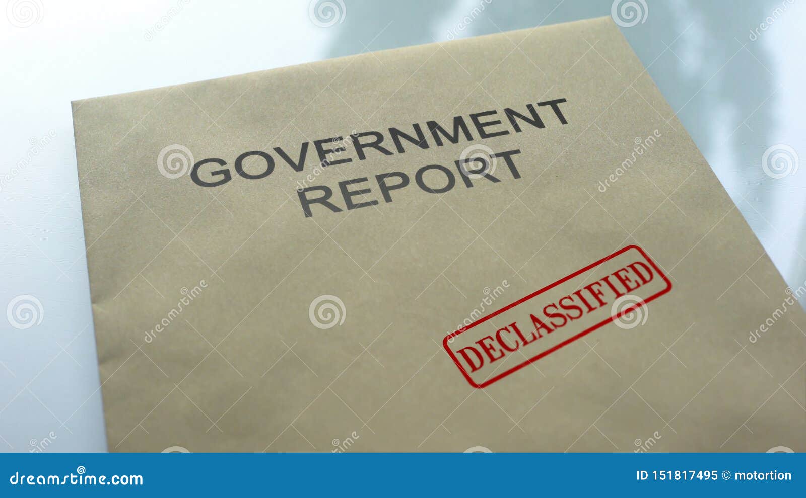 government report number