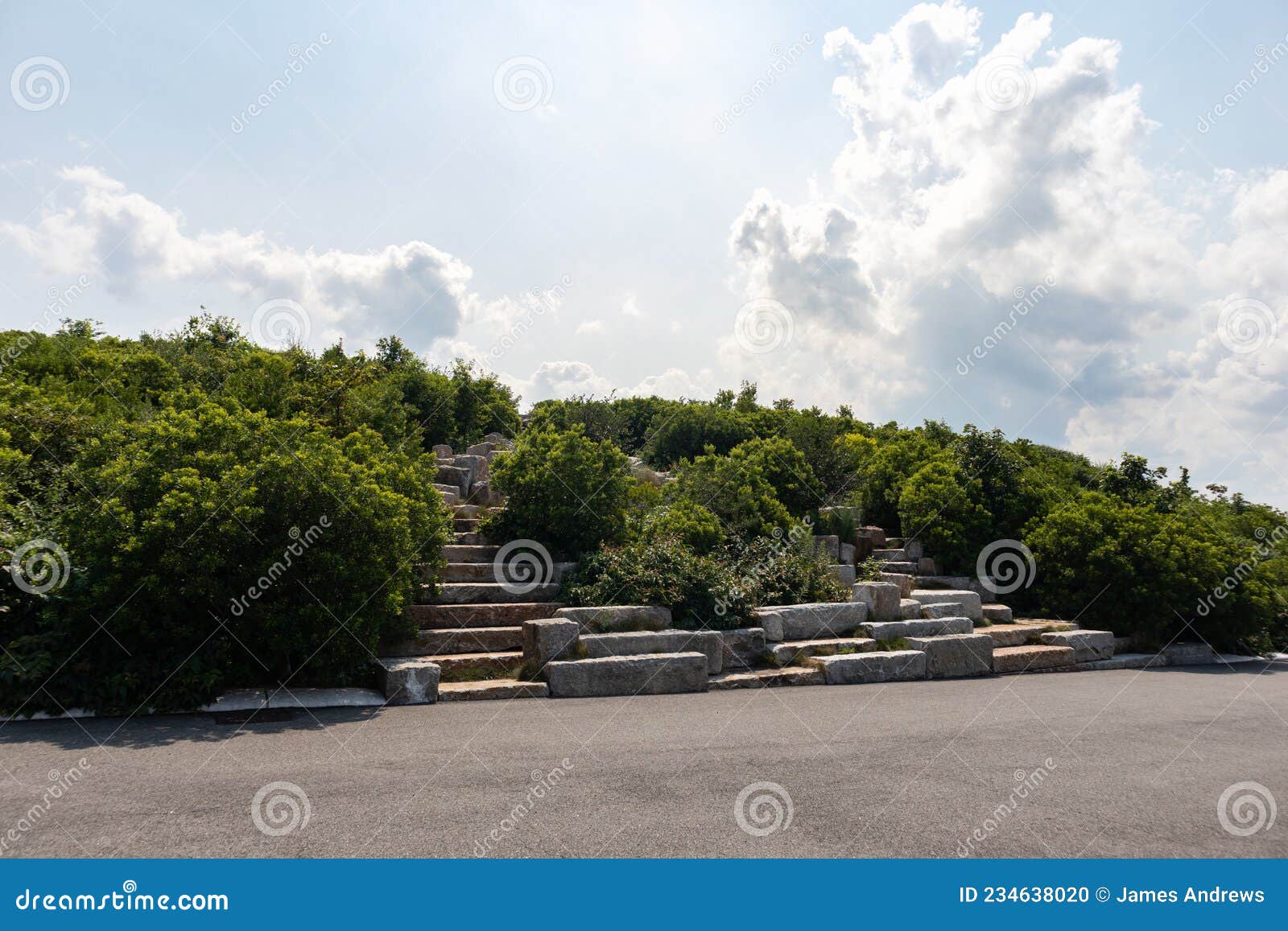 Governors Island Outlook Hill with Green Plants during the Summer in