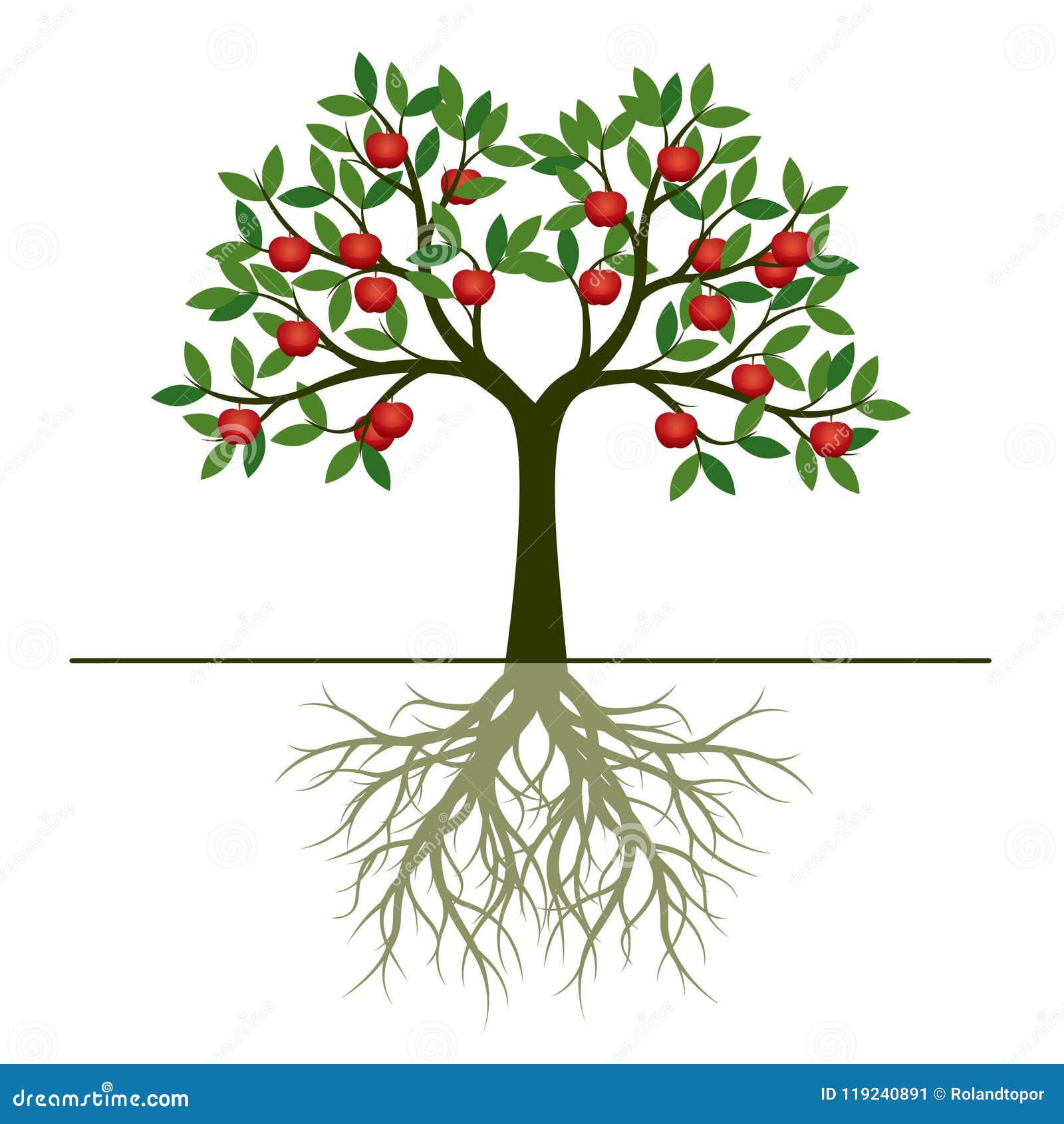 Gruner Fruhlings Baum Mit Wurzel Und Rotapfel Tragt Fruchte Vektor Illustr Vektor Abbildung Illustration Von Tragt Gruner