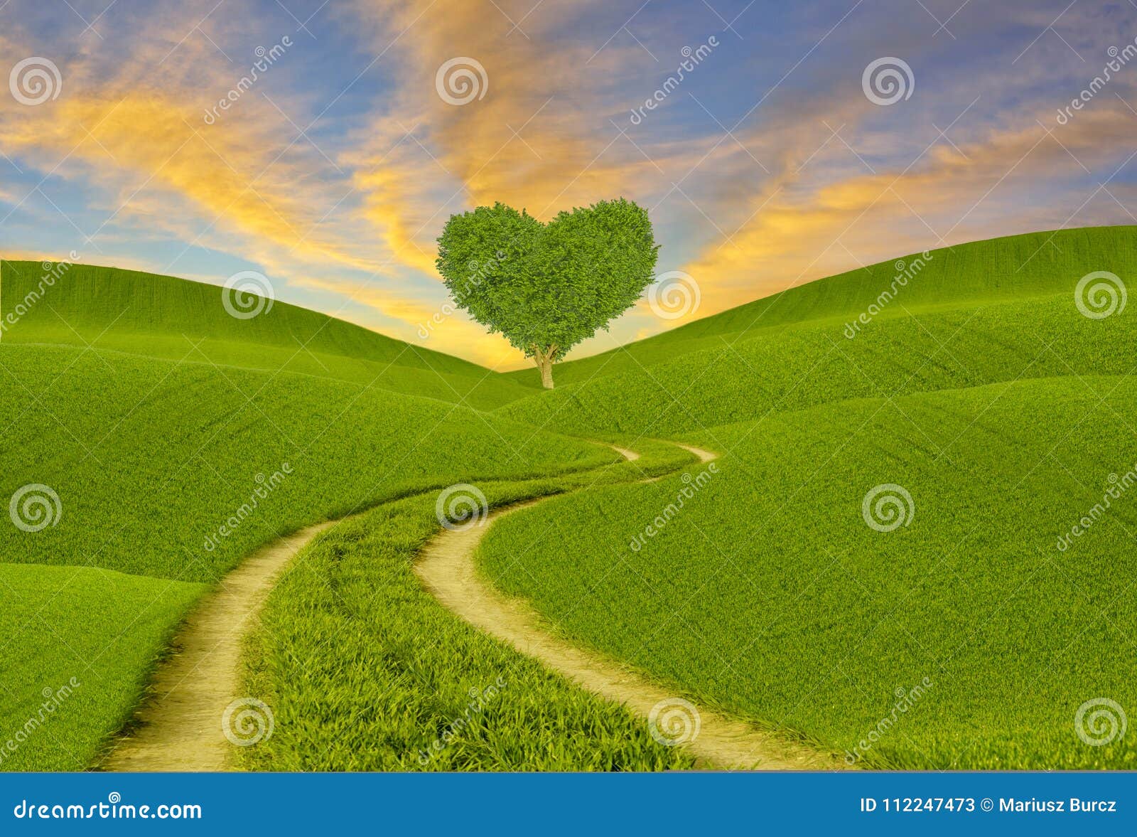 Gruner Herz Formiger Baum Auf Einer Fruhlingswiese Weise Durch Die Felder Zum Herzen Stockbild Bild Von Baum Gruner