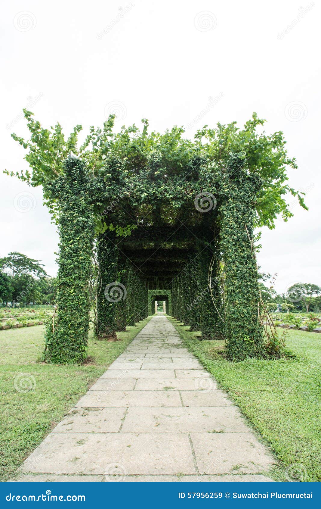 Gruner Torbogen In Einem Garten Stockbild Bild Von Garten Torbogen 57956259