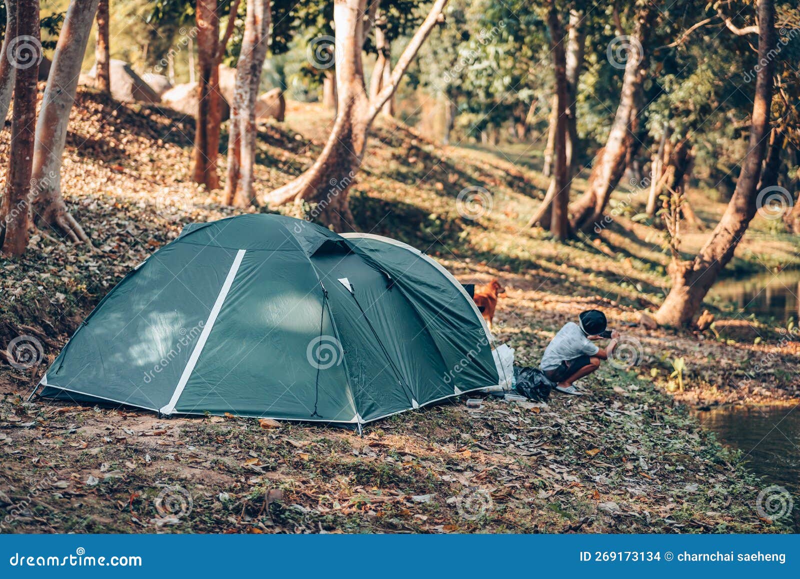 https://thumbs.dreamstime.com/z/gr%C3%BCnes-zelt-auf-dem-gras-im-wald-der-blick-hinter-ist-berg-fr%C3%BCh-campingkonzept-269173134.jpg