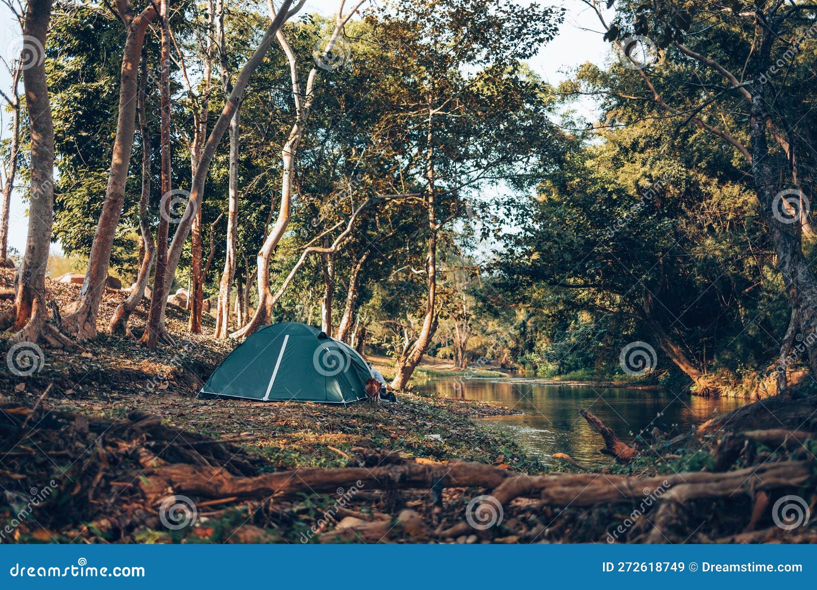 https://thumbs.dreamstime.com/z/gr%C3%BCnes-zelt-auf-dem-gras-im-wald-der-blick-hinter-ist-berg-fr%C3%BCh-campingkonzept-272618749.jpg