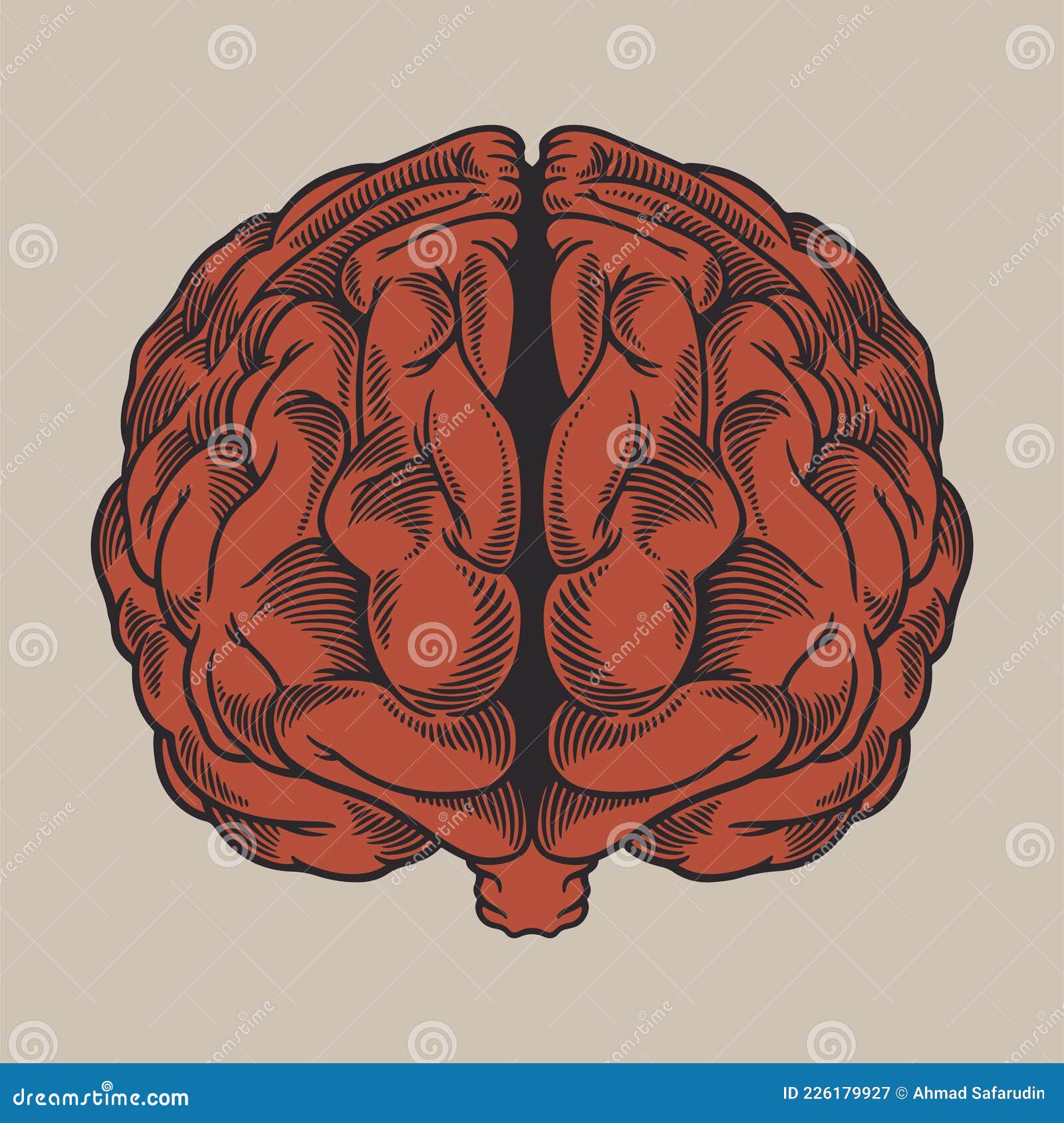 Grabado Vintage Dibujando El Cerebro Humano Frente a La Vista. Hemisferios De Izquierda Y Derecha Organizados Frente a Desorganiza Stock de ilustración - Ilustración de tinta, frente: 226179927 Grabado Vintage Dibujando El Cerebro Humano Frente a La Vista. Hemisferios De Izquierda Y Derecha Organizados Frente a Desorganiza Stock de ilustración - Ilustración de tinta, frente: 226179927