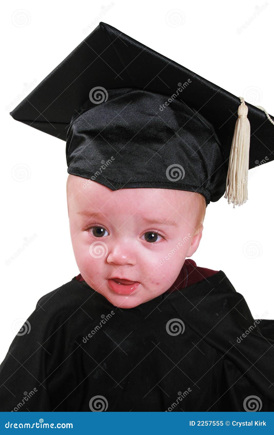 379 Baby Graduation Cap Stock Photos - Free & Royalty-Free Stock Photos  from Dreamstime