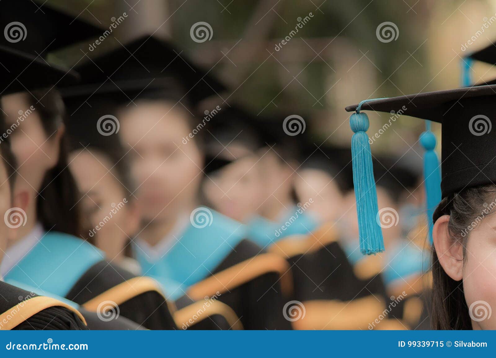 graduates in commencement graduation ceremony row, metaphor educ