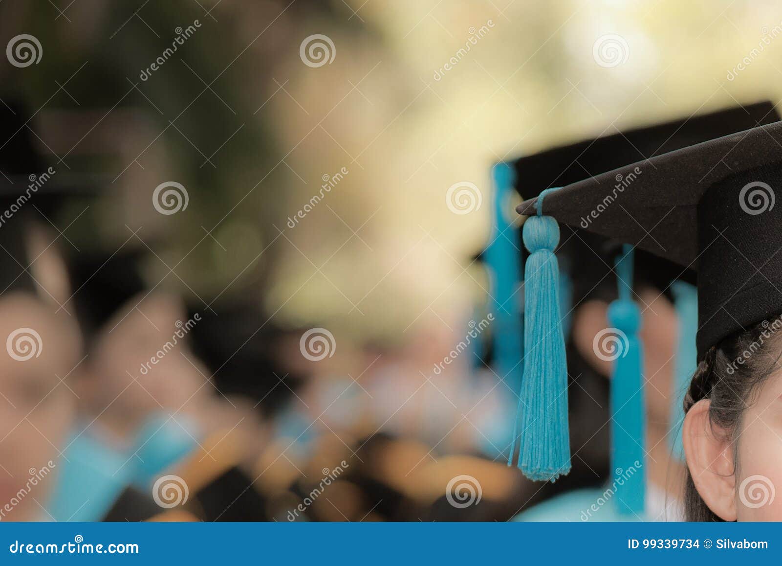 graduates in commencement graduation ceremony row, metaphor educ