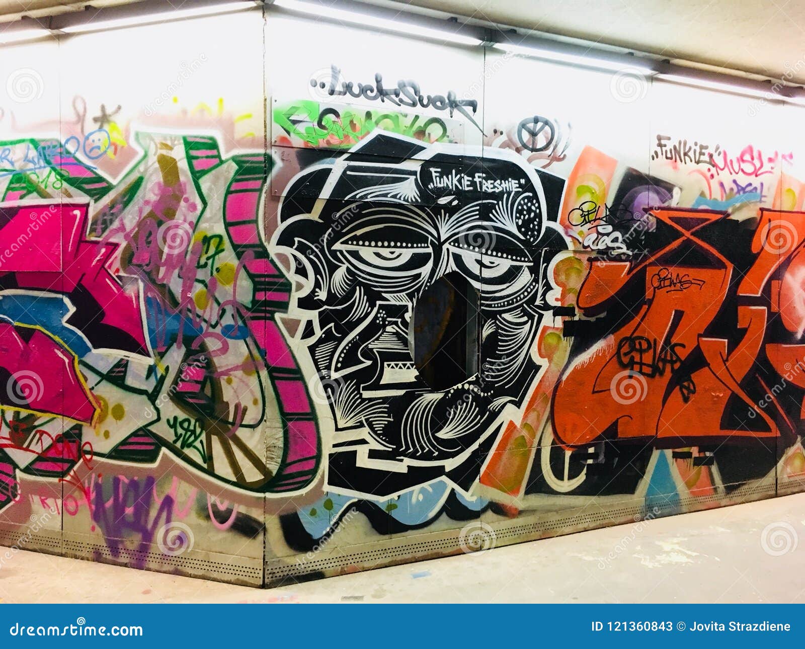 Graffiti art Vilnius editorial stock photo. Image of road 121360843