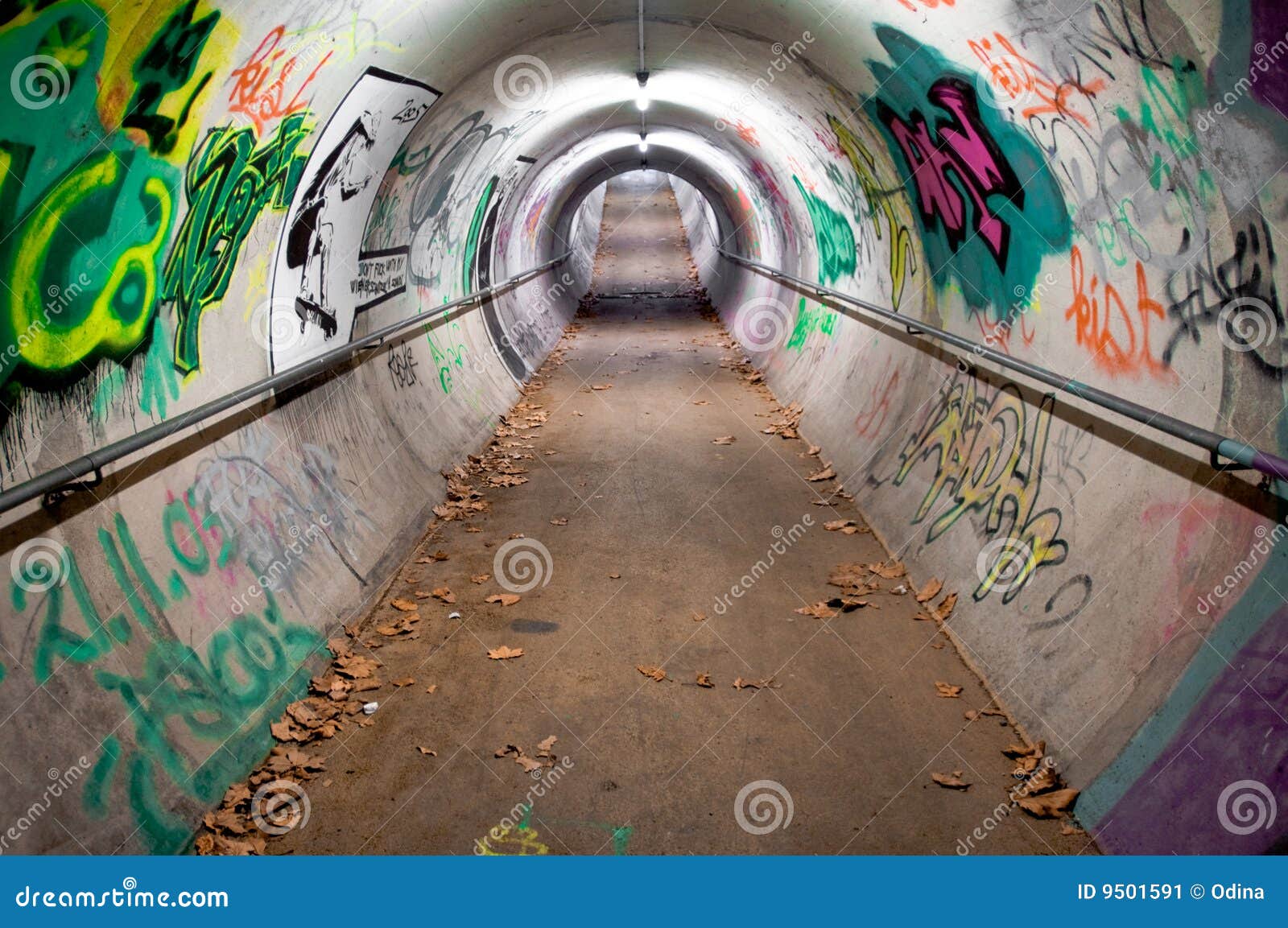 Graffiti Tunnel Stock Image Image 9501591