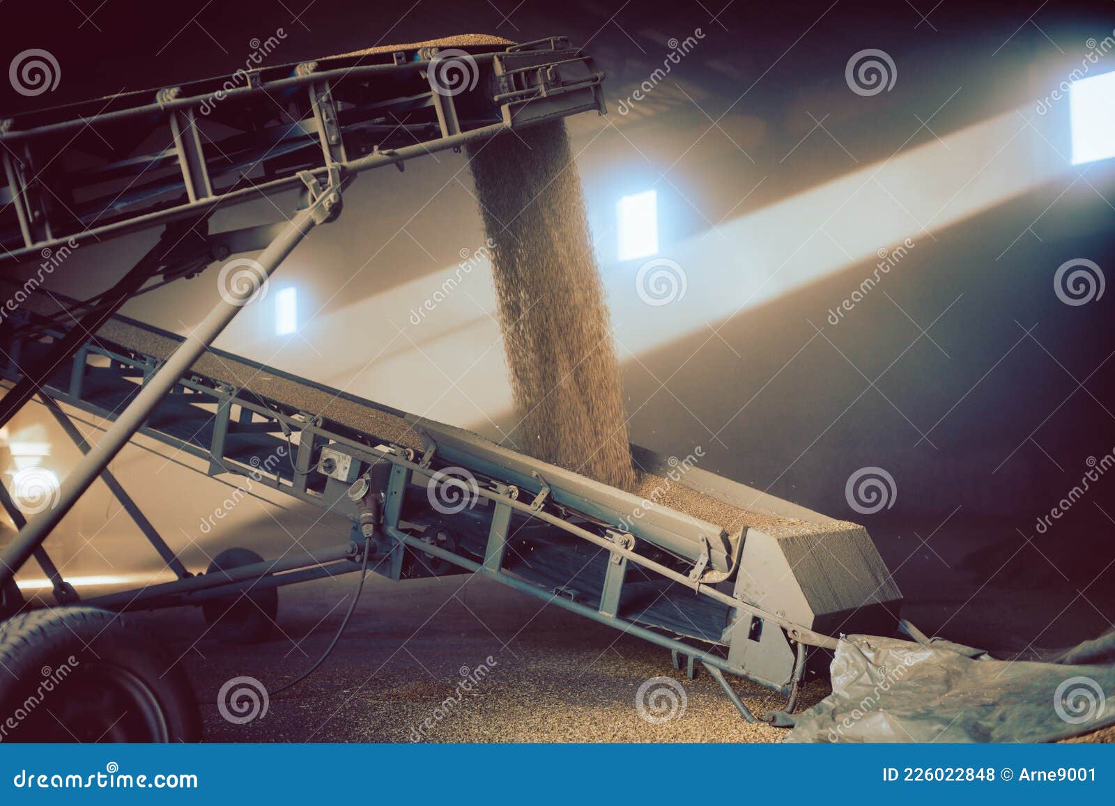 Grain Being Brought By Tractor To The Storage Or Granary RoyaltyFree
