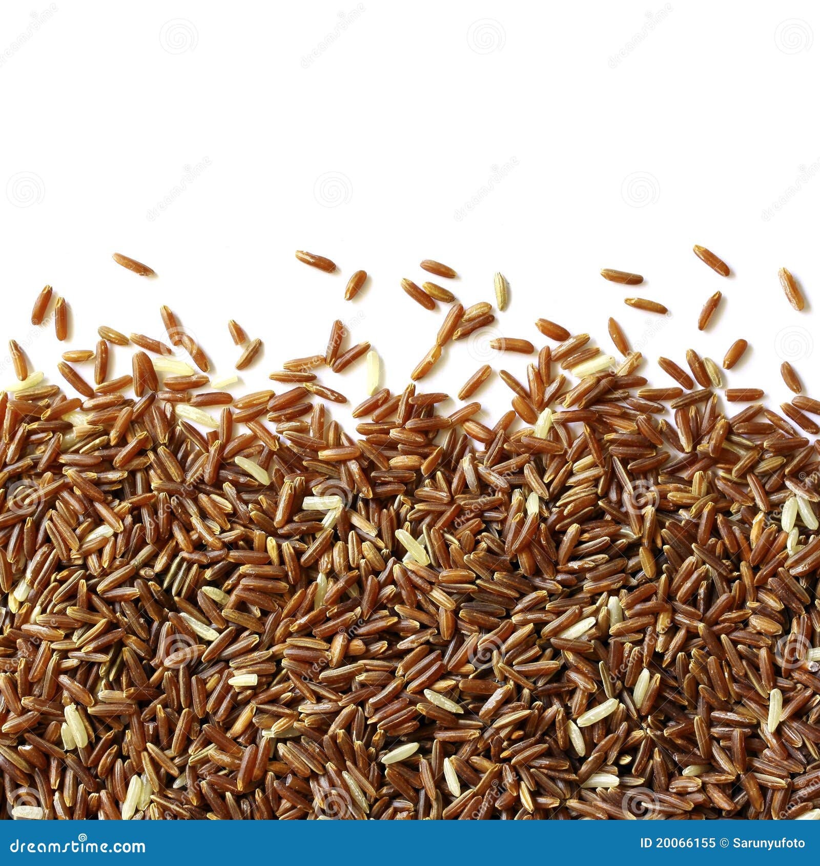 Grain Brown Rice Royalty Free Stock Photo Image 20066155