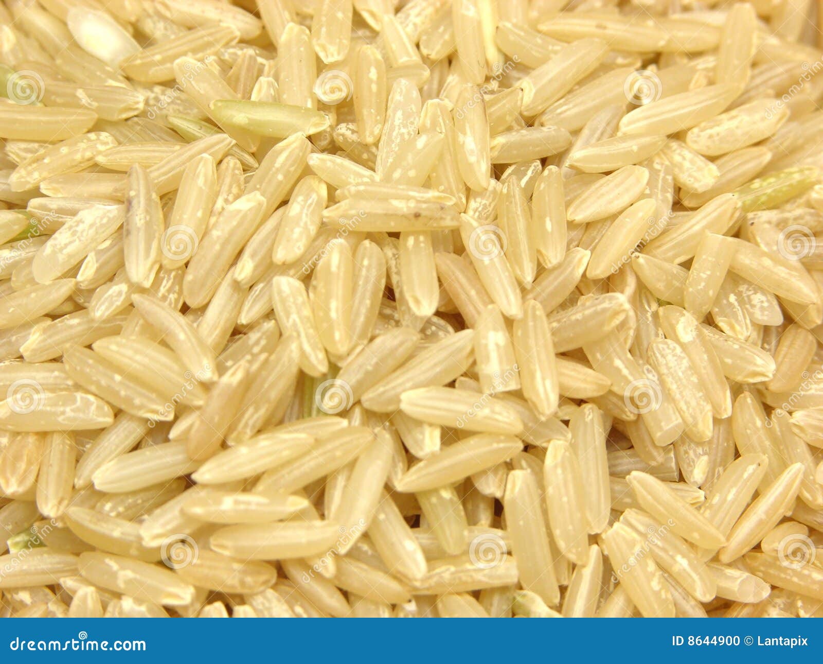 Grain of brown rice stock photo. Image of background, vegan 8644900