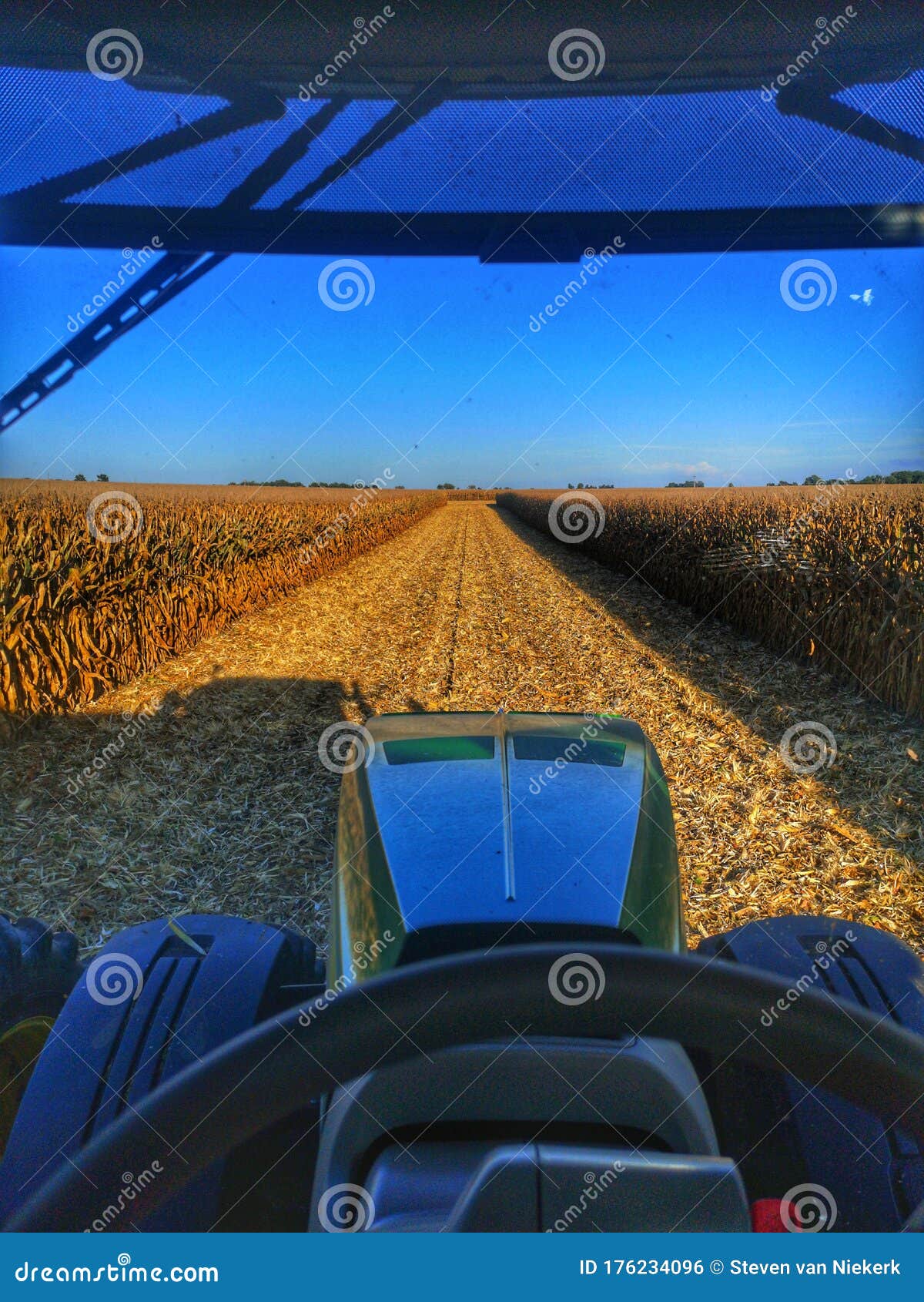 Grain Cart Corn Harvest Day in Illinois Stock Photo Image of cart