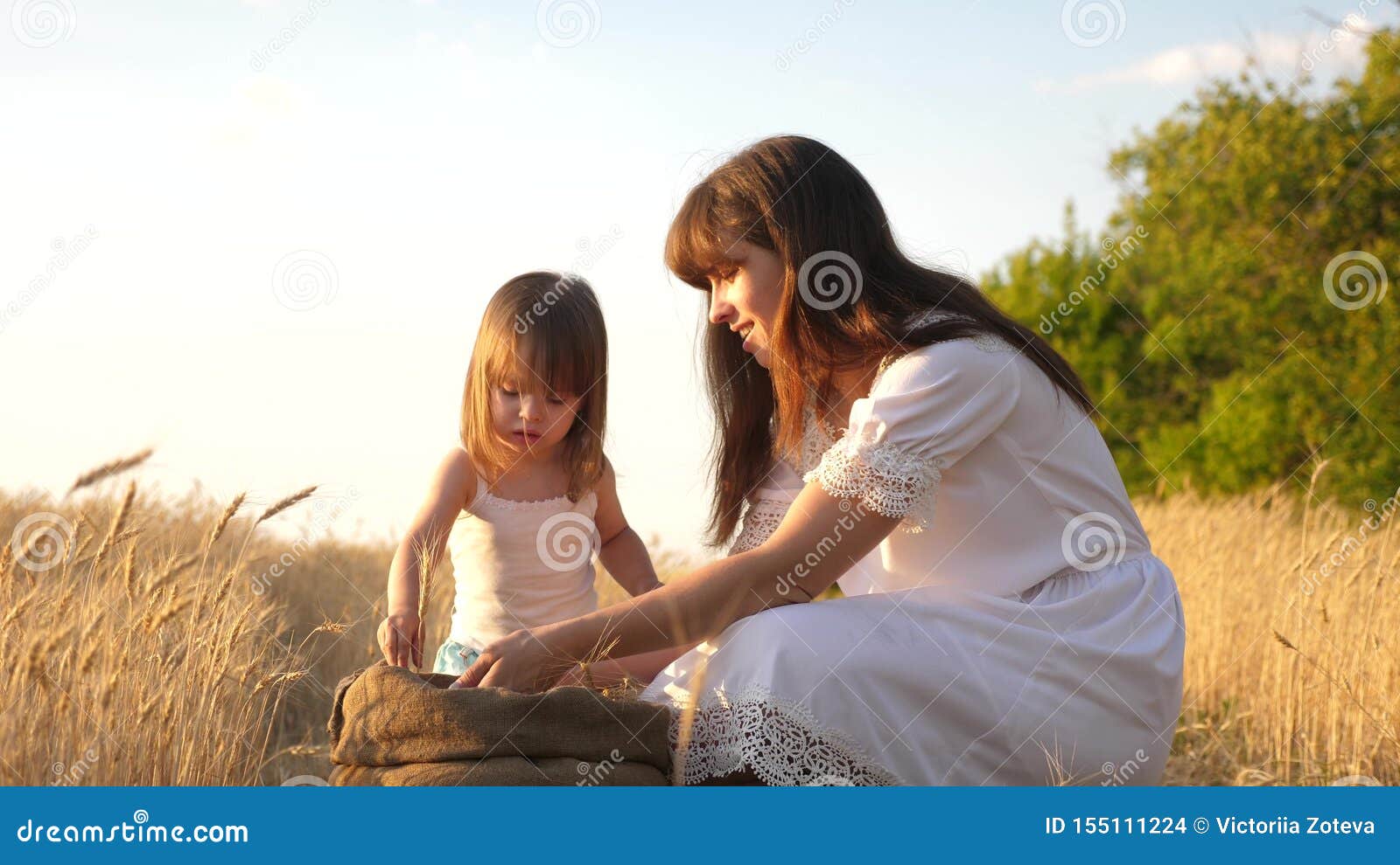 Grain De Ble Dans Des Mains D Enfant La Mere Et Peu D Enfant Jouent Avec Le Grain Dans Le Sac Sur Un Champ De Ble Ch Ri Girl Photo Stock Image Du Enfants