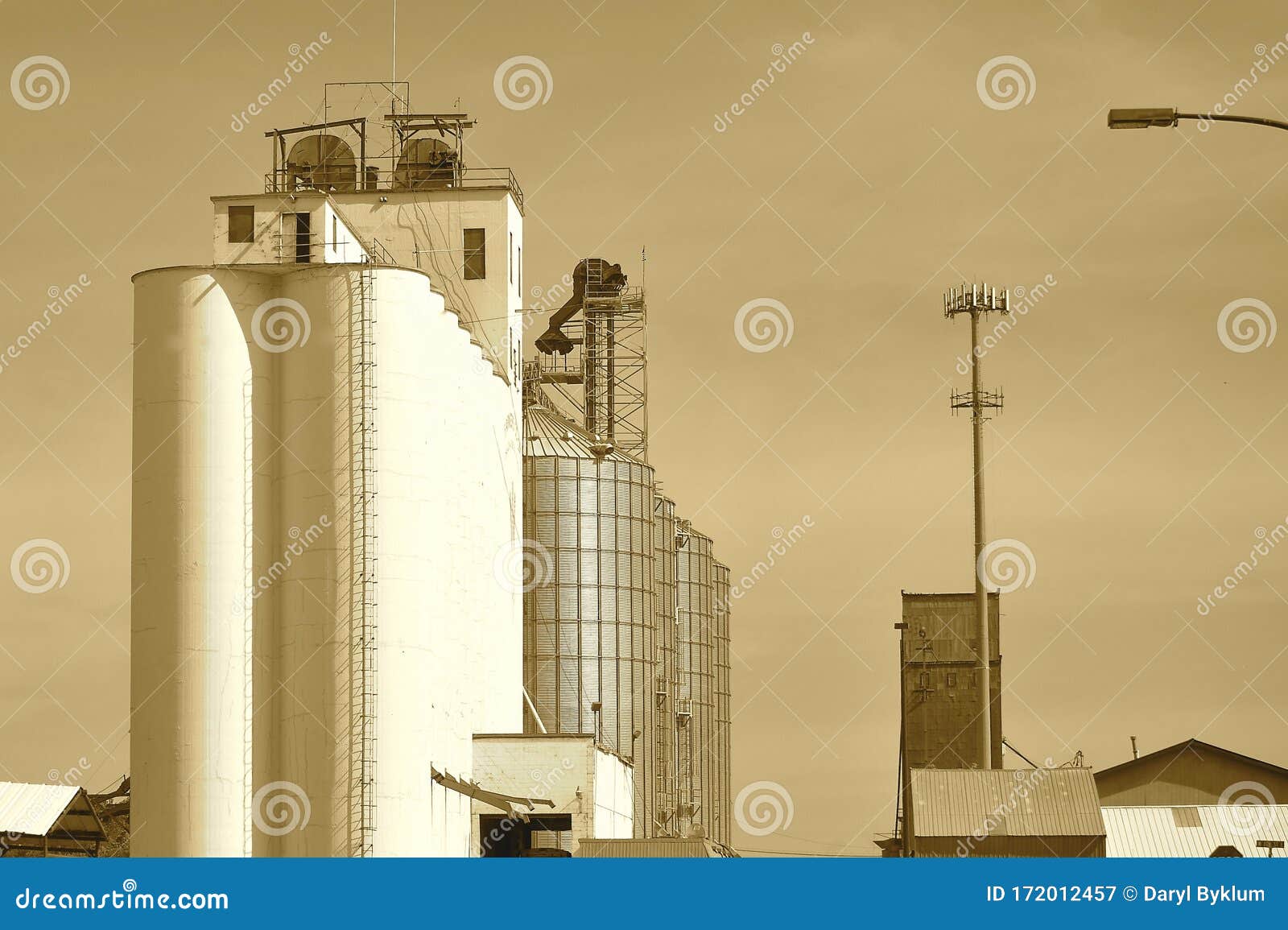 A Grain Elevator in Thief River Falls, Minnesota Stock Image Image of