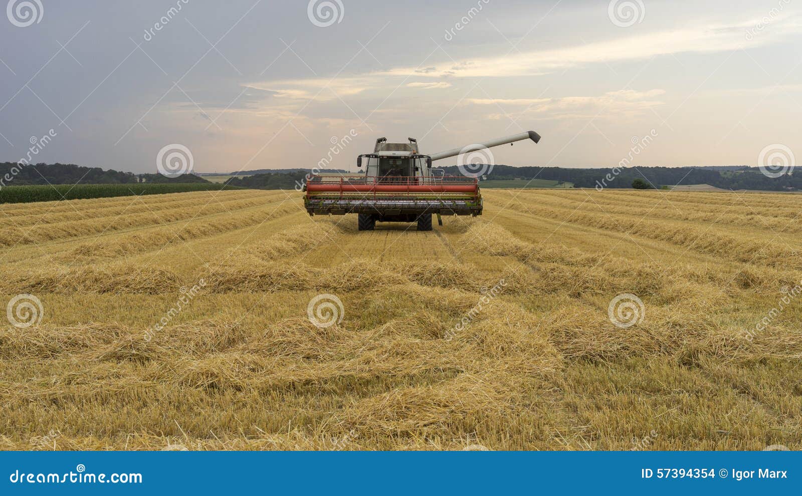 Grain Harvester Combine Work in Bavaria Field Stock Photo Image of