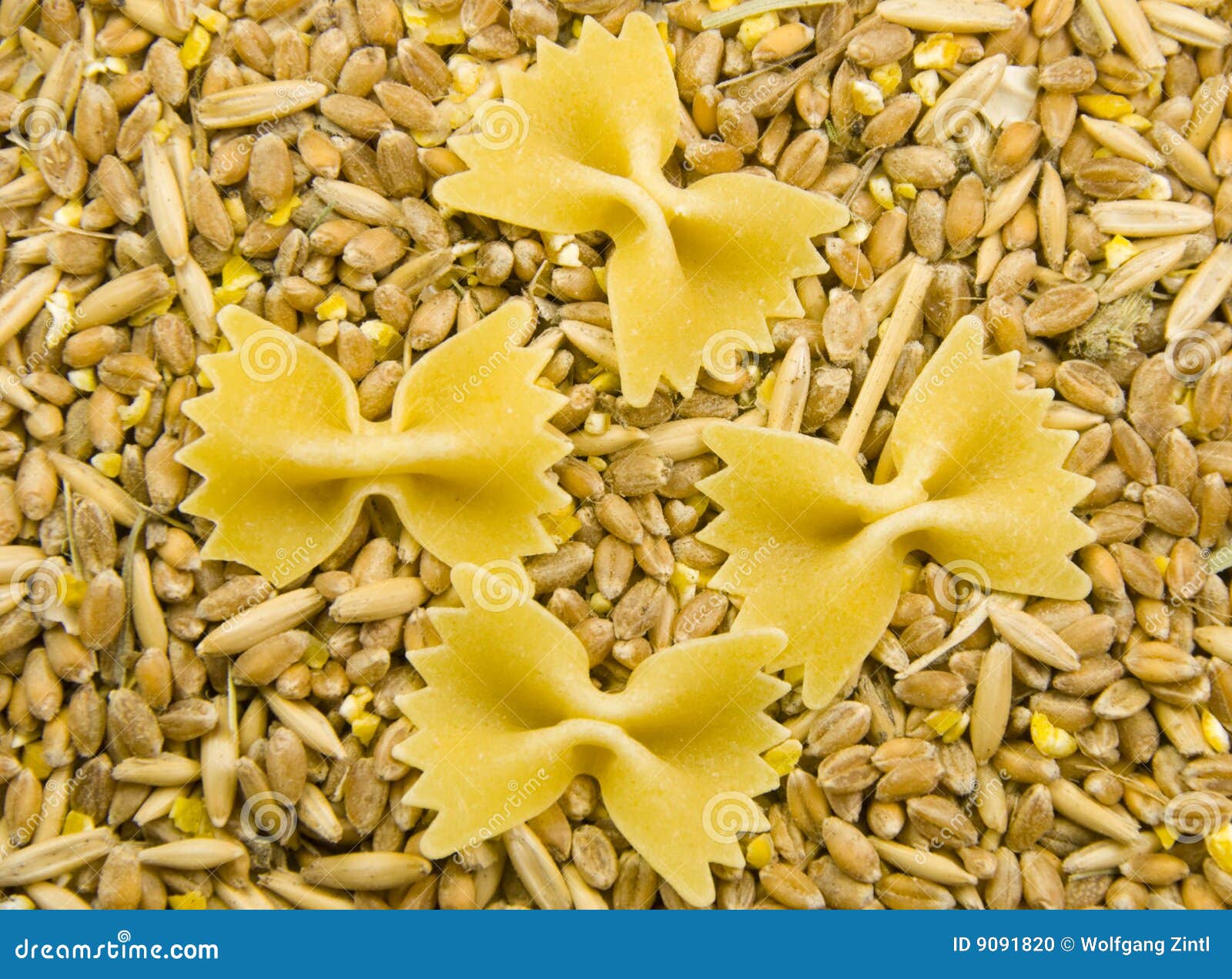 Grain and noodles stock photo. Image of barley, corn, nutrition 9091820