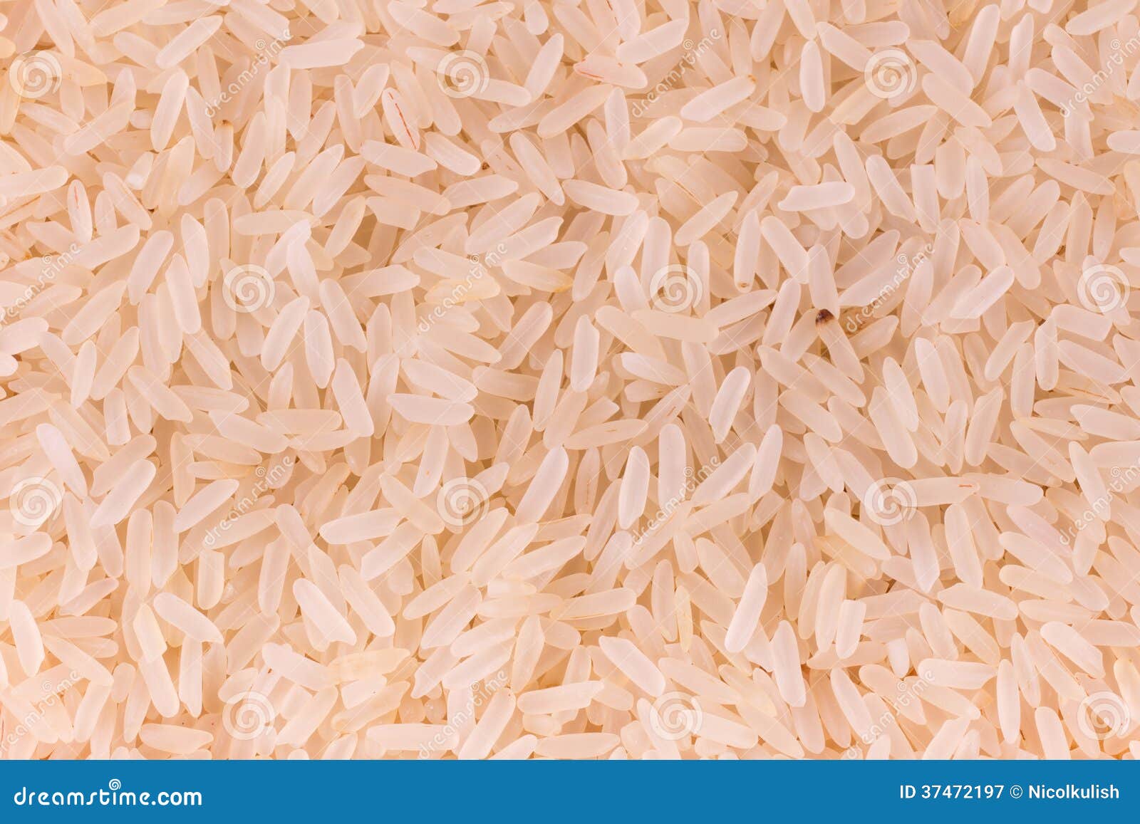Grain rice stock image. Image of vitamins, carbohydrate 37472197