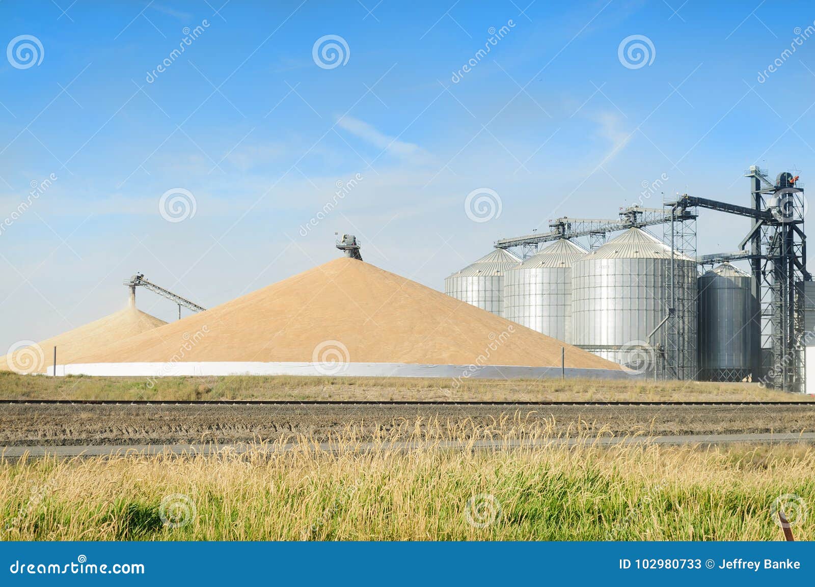 Grain silos stock image. Image of farming, farm, grain 102980733