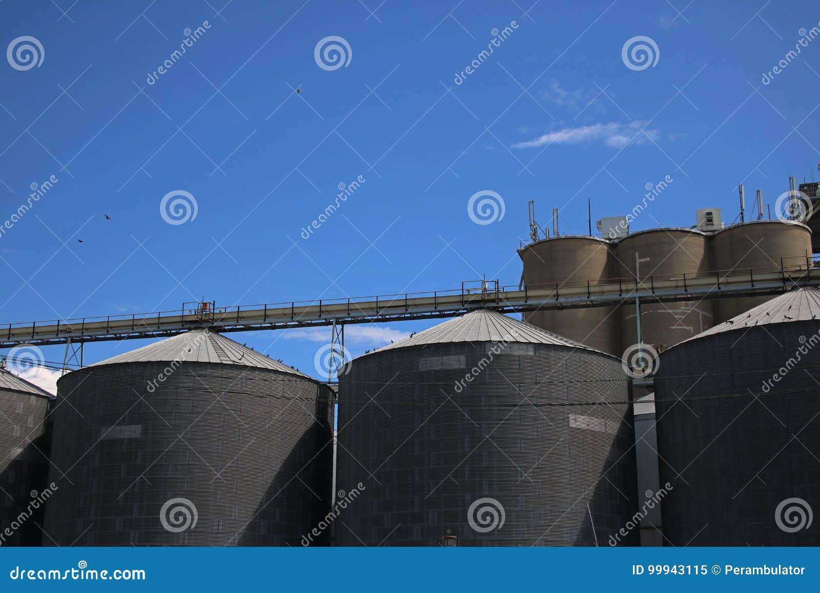 GRAIN SILOS stock image. Image of grain, roof, silos 99943115