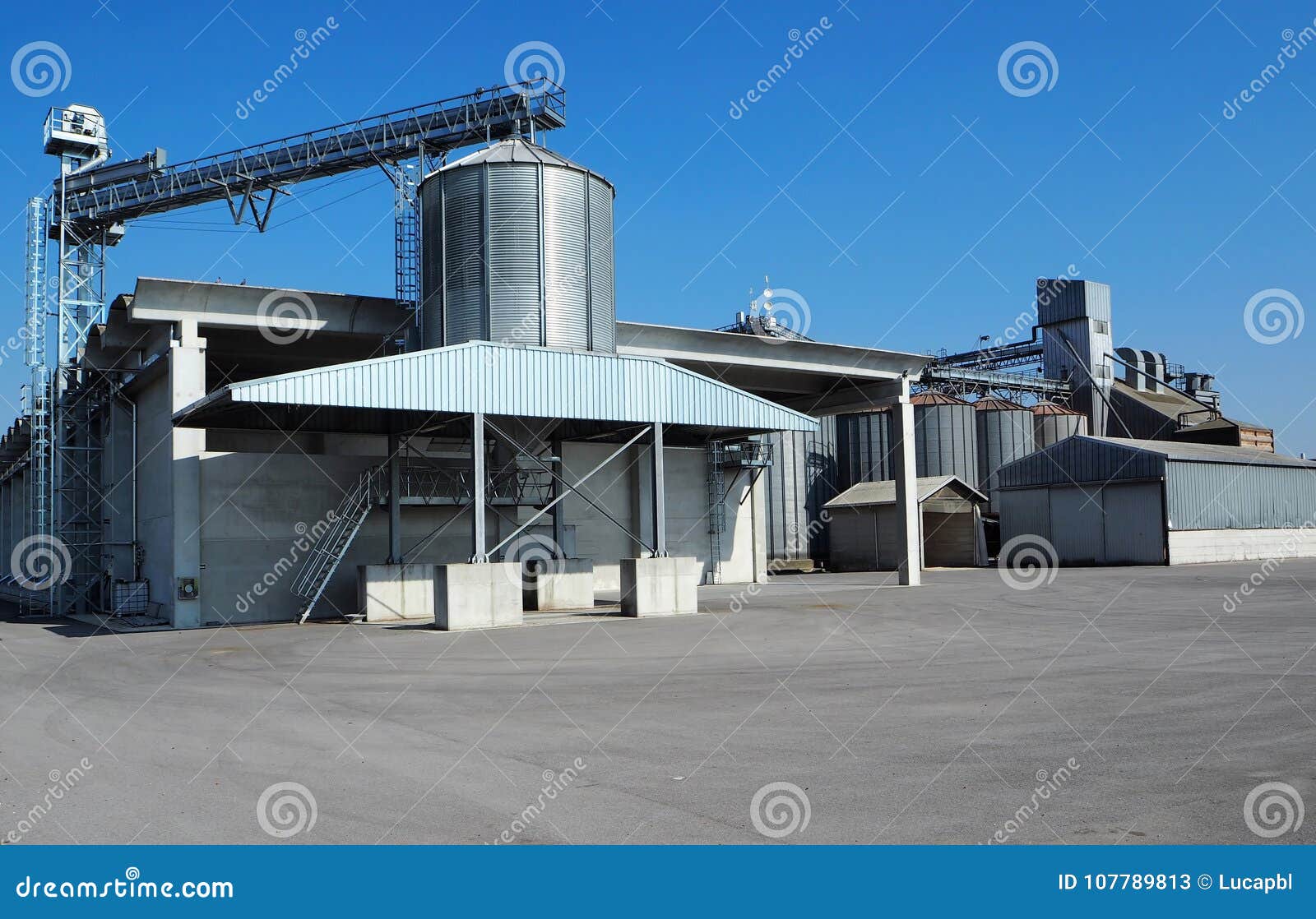 Grain Storage Bins with Silos and Distribution System. the Asphalt Square in Front of it is