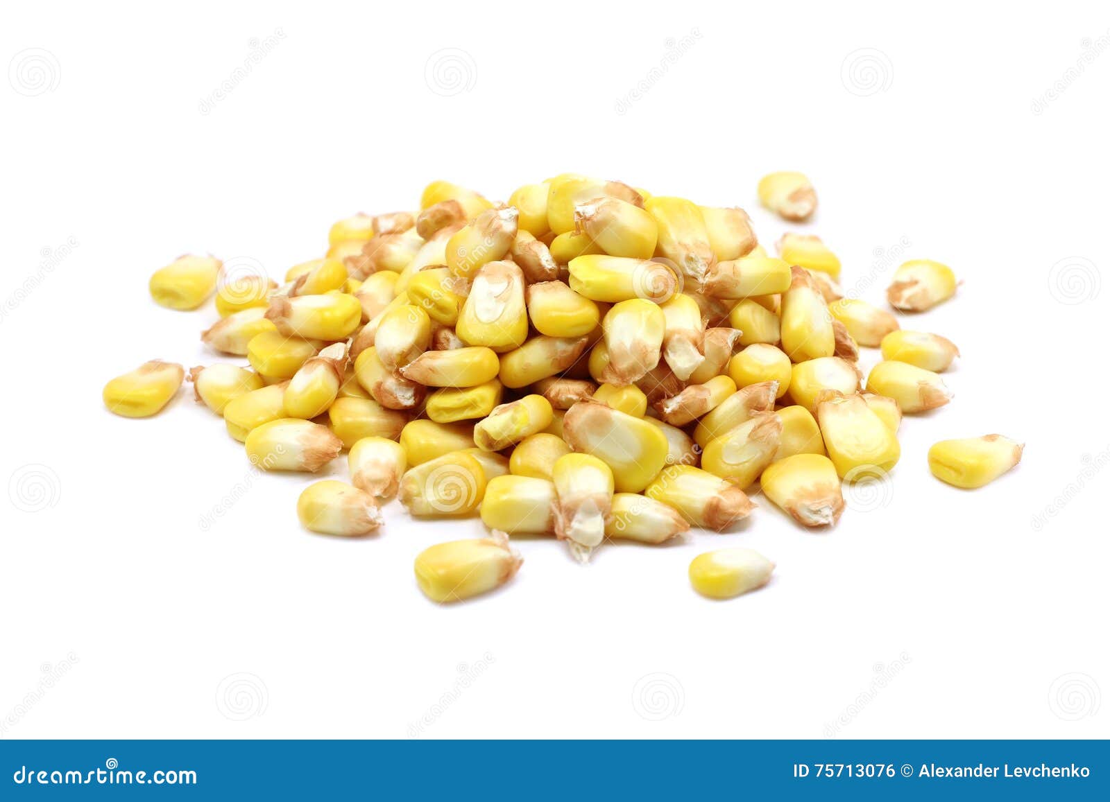 Grain yellow corn stock photo. Image of tasty, ecology 75713076