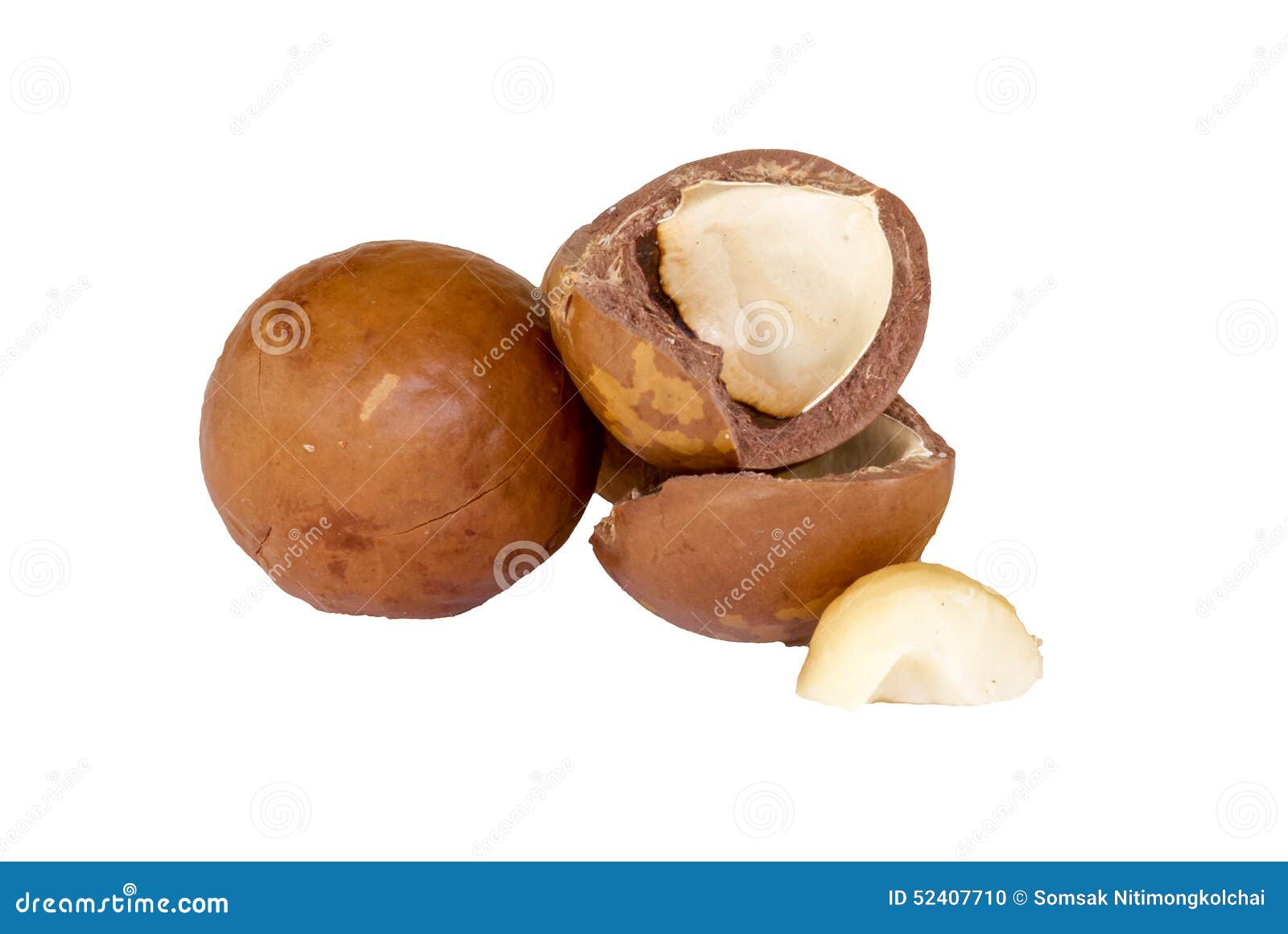 Graine D'avocat Sur Le Fond Blanc Photo stock Image du entier