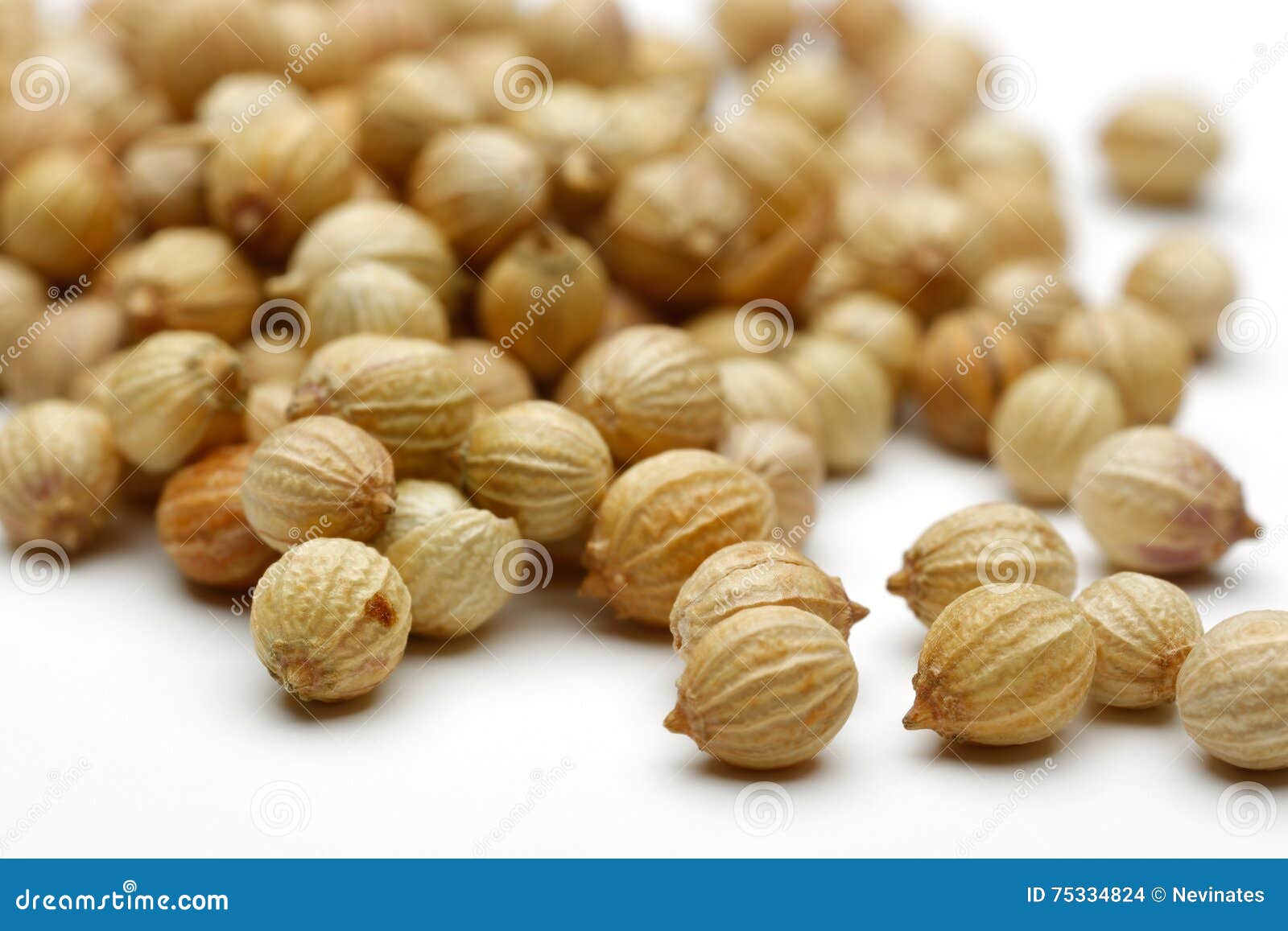 Graine de coriandre photo stock. Image du ingrédient 75334824