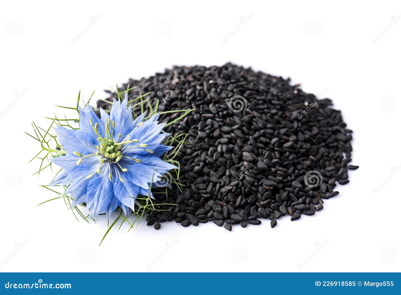 Graines De Cumin Noir Avec Fleur De Nigella Sativa Image stock - Image du  botanique, cumin: 226918585