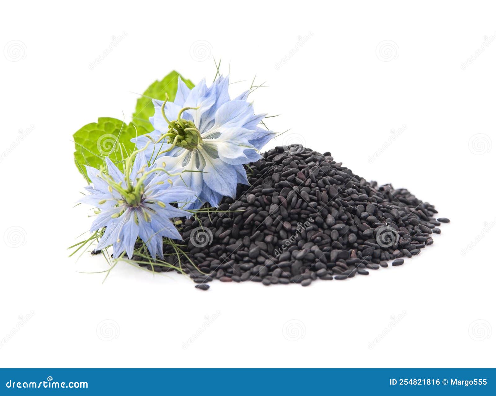 Graines de cumin noir