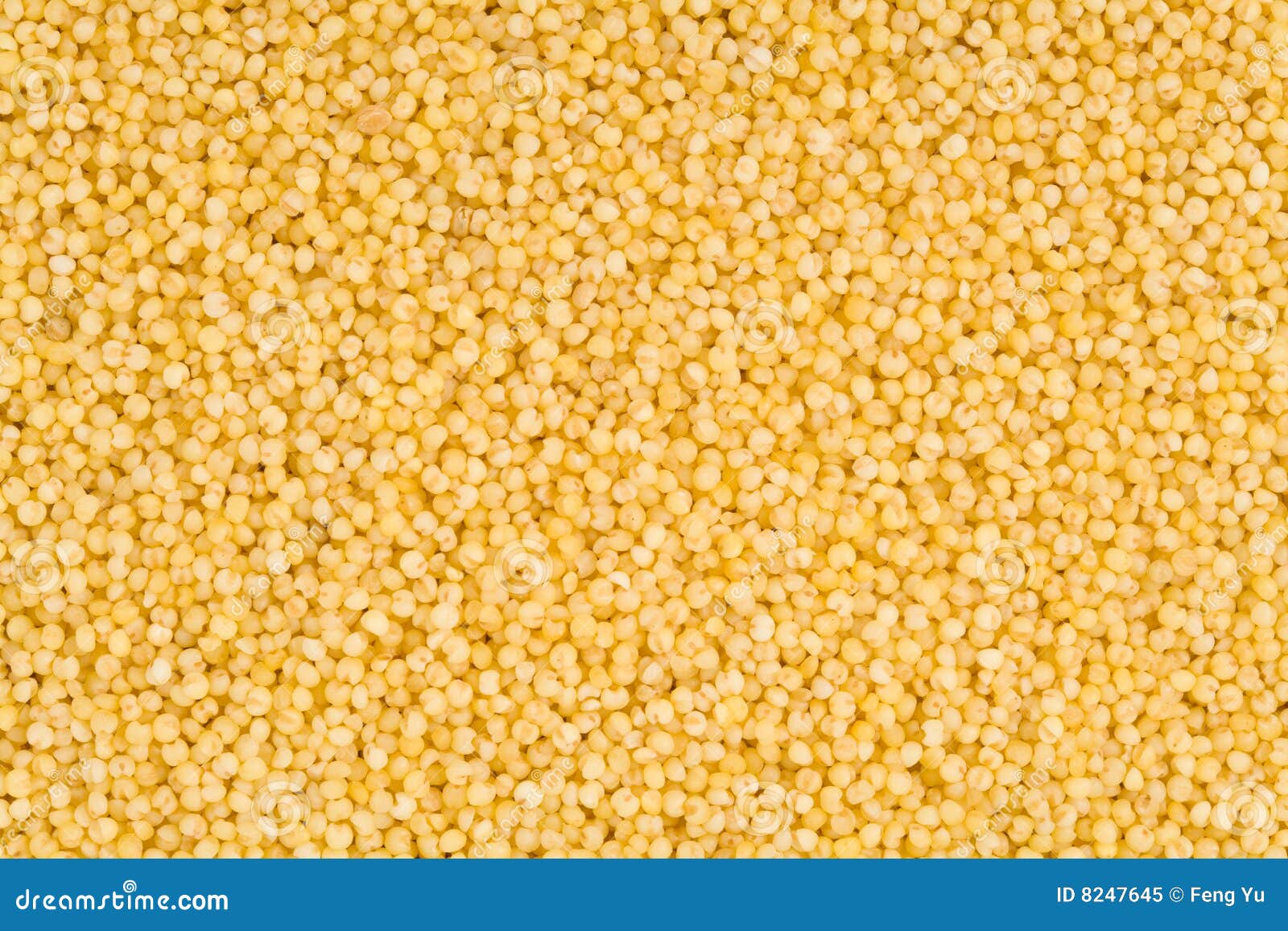 Graines de millet image stock. Image du ingrédient, fond 8247645