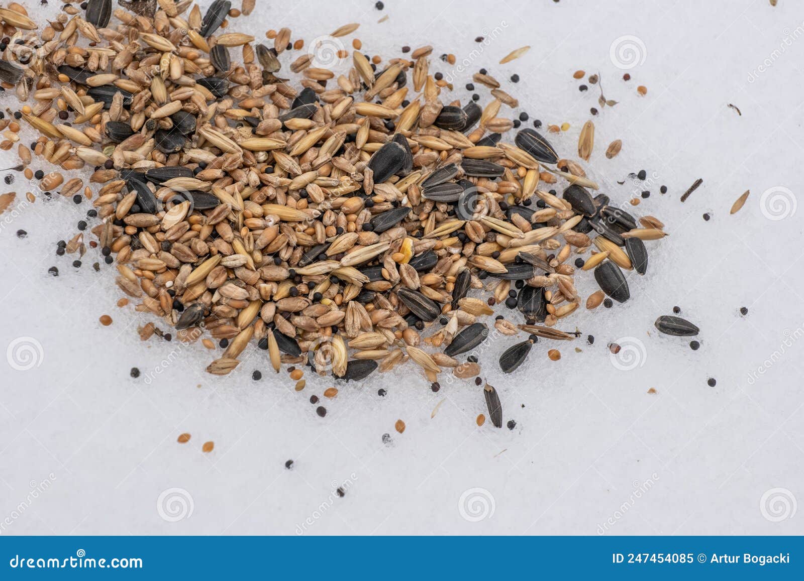 Grains for Birds Feeding in Winter Stock Image Image of feeding, pile