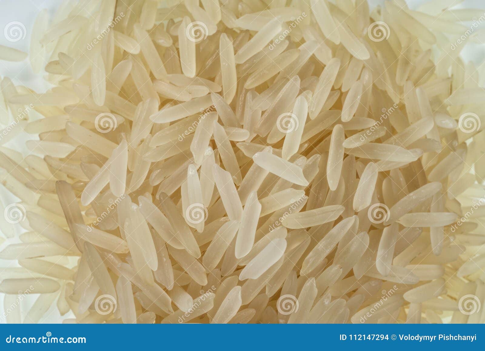 Grains of Jasmine Rice Closeup Stock Photo Image of varieties