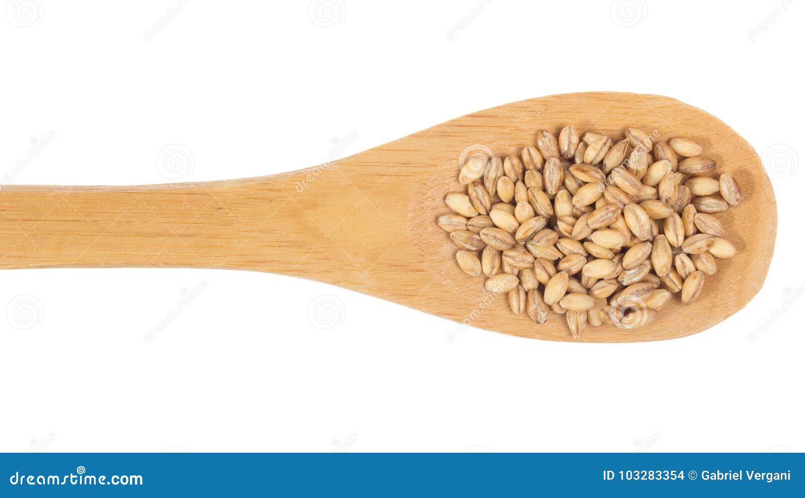 grains over wooden bamboo spoon. , white background.