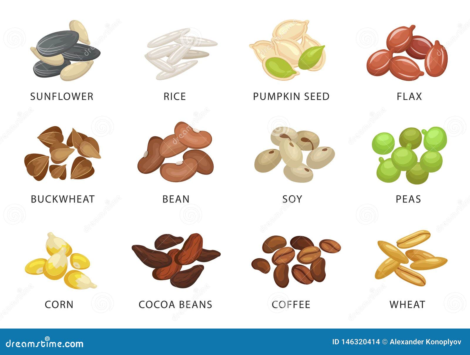 Seed Of Plant Cartoon Vector CartoonDealer 64411113 seed-of-plant-cartoon-vector-cartoondealer-64411113