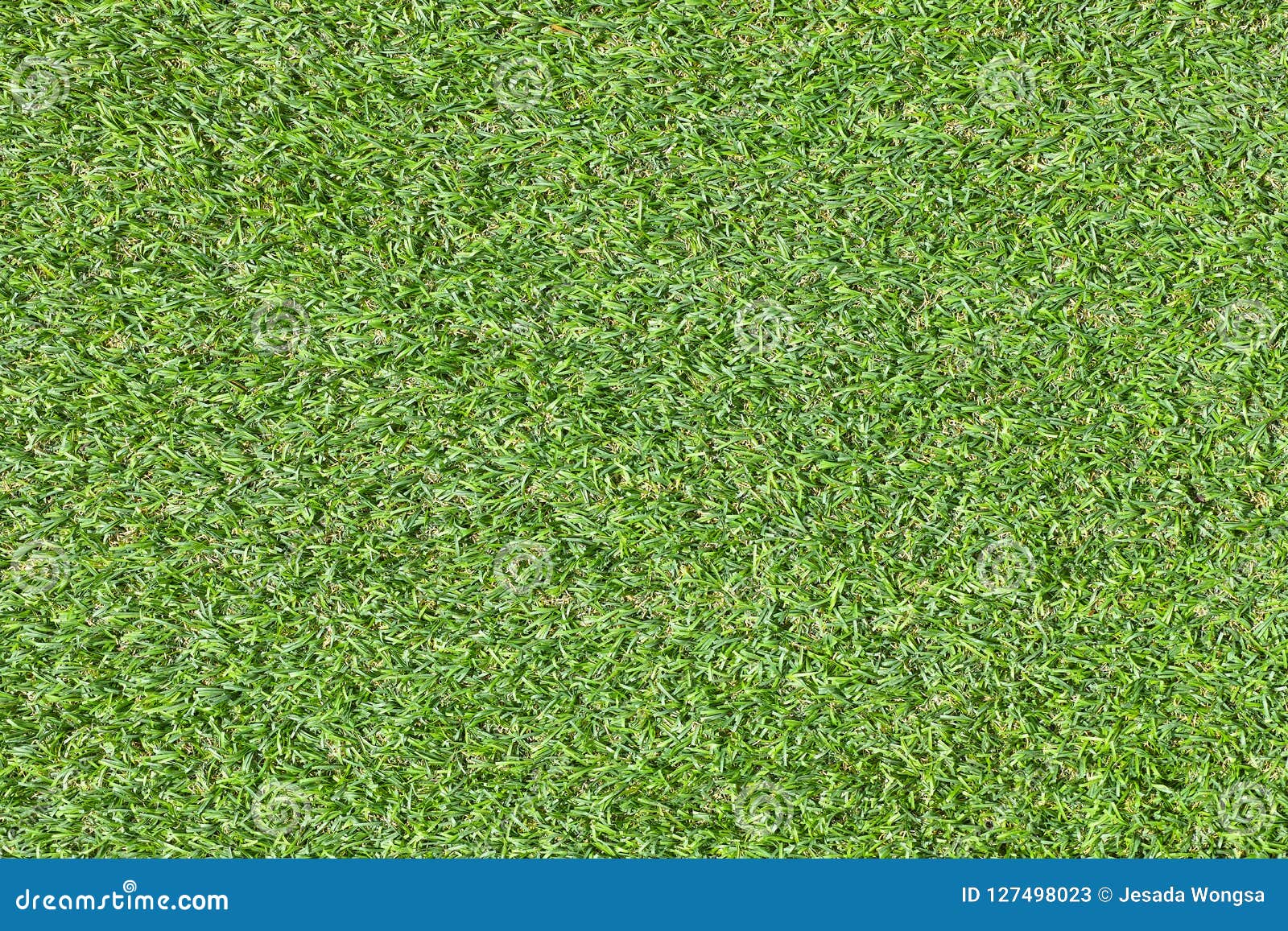 picture Grama Artificial Textura a grama artificial da opiniao superior
