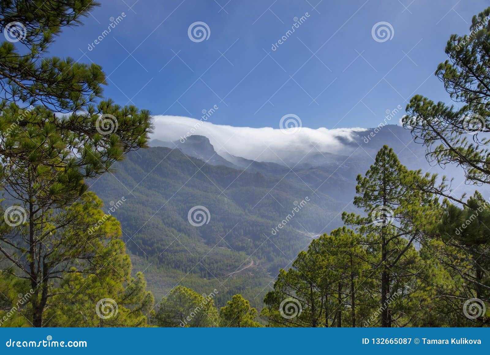 gran canaria, tamadaba