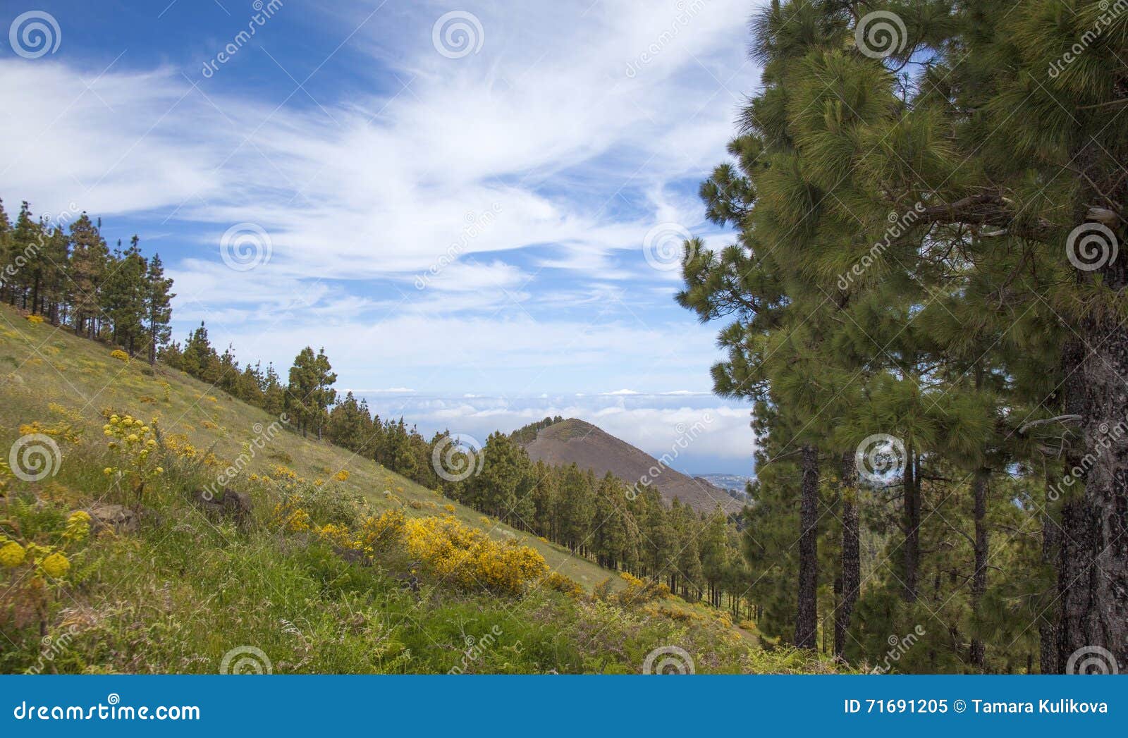 gran canaria, veiw from central mountains